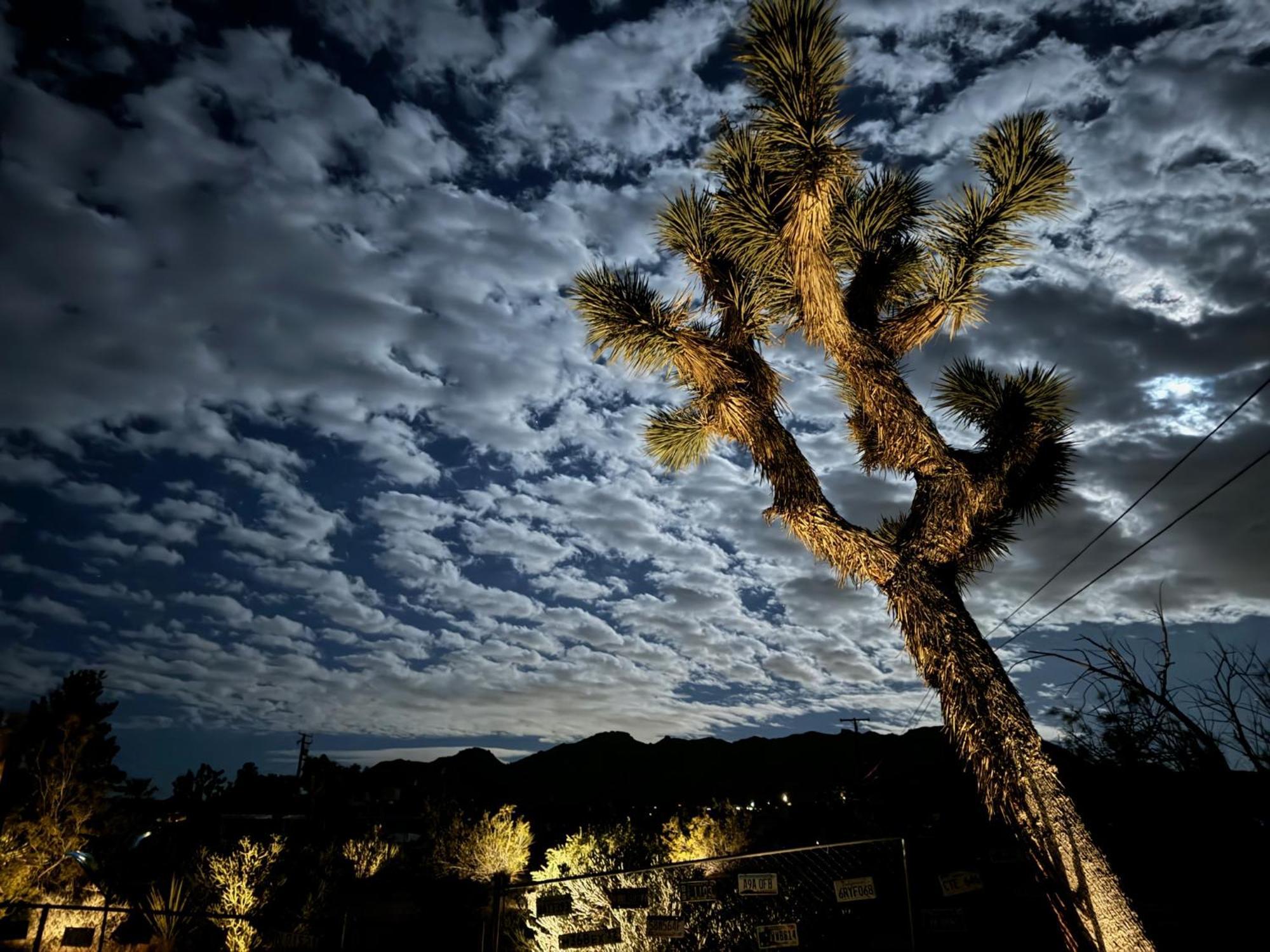 Float Pool, Hot Tub, Sauna, Views, Telescope-Skywatchers Haven Joshua Tree Extérieur photo